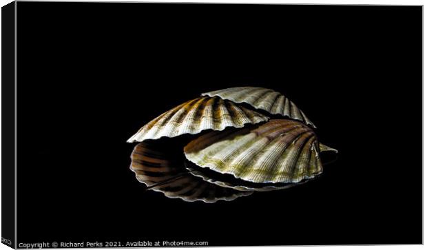 Scallop shells in reflection Canvas Print by Richard Perks