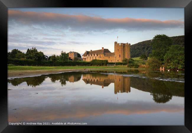 Stokesay Castle reflections  Framed Print by Andrew Ray