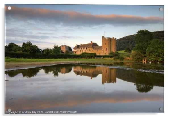Stokesay Castle reflections  Acrylic by Andrew Ray
