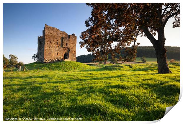 Evening light at Hopton Castle Print by Andrew Ray