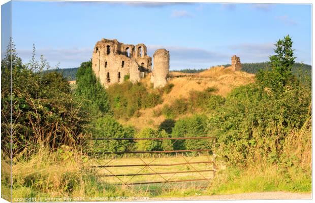 Gateway view (Clun Castle)  Canvas Print by Andrew Ray