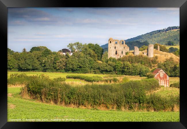 Clun Castle view  Framed Print by Andrew Ray