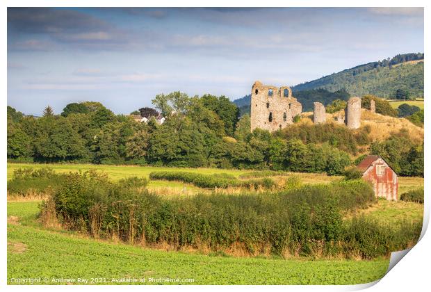 Clun Castle view  Print by Andrew Ray