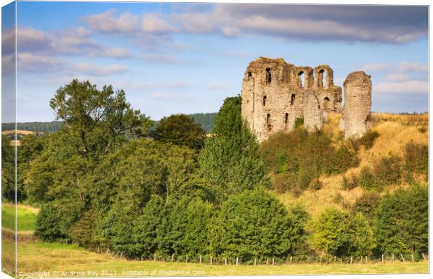 Clun Castle  Canvas Print by Andrew Ray