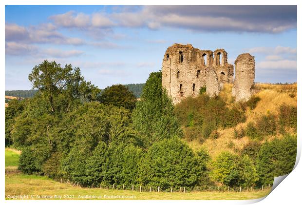 Clun Castle  Print by Andrew Ray