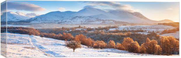 Glen Spean Winter panorama Canvas Print by Justin Foulkes