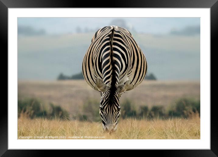 Beautiful Wildlife Framed Mounted Print by Mark McElligott