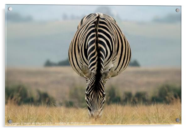 Beautiful Wildlife Acrylic by Mark McElligott