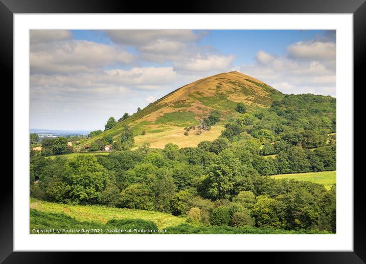 Summer at The Lawley Framed Mounted Print by Andrew Ray