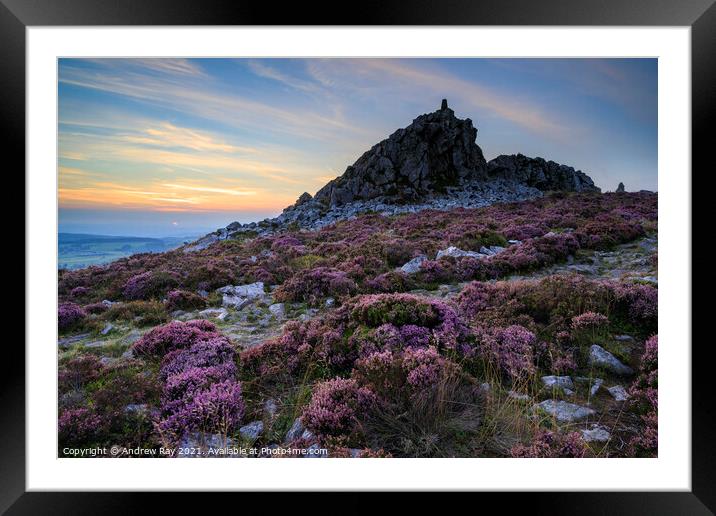 Towards the setting sun (Stiperstones)  Framed Mounted Print by Andrew Ray