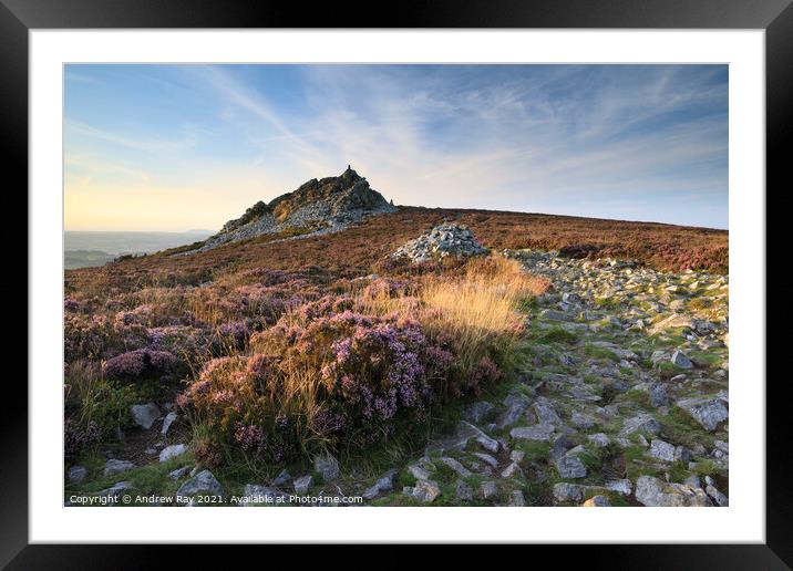 Summer evening at the Stiperstones  Framed Mounted Print by Andrew Ray