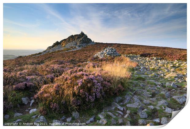 Summer evening at the Stiperstones  Print by Andrew Ray