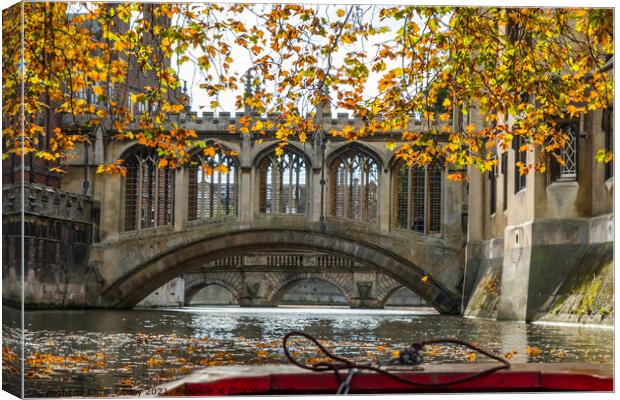 Bridge of Sighs captured from the River Cam Canvas Print by Chris Yaxley