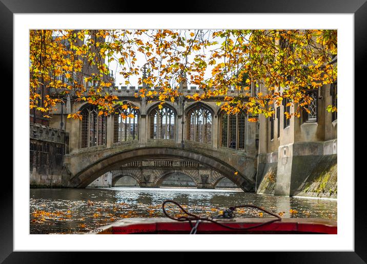 Bridge of Sighs captured from the River Cam Framed Mounted Print by Chris Yaxley