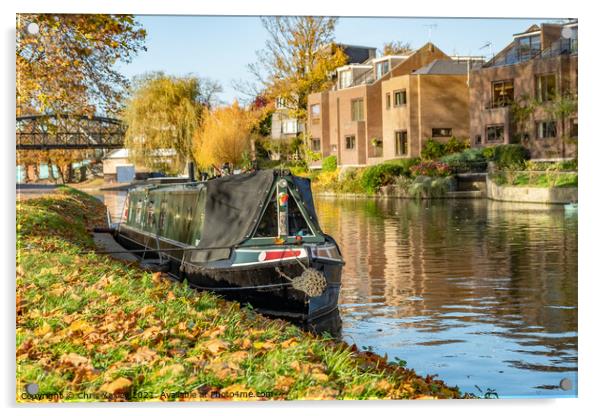 River Cam houseboat in Jesus Green, Cambridge Acrylic by Chris Yaxley