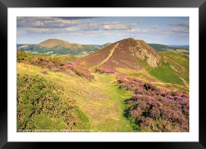 Towards the Devil's Mount (Long Mynd) Framed Mounted Print by Andrew Ray