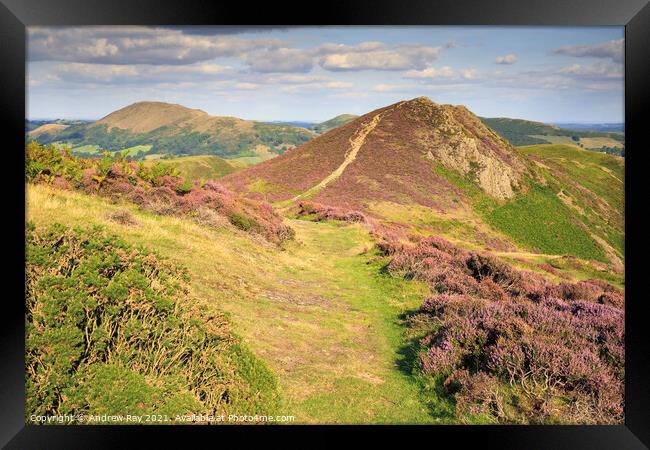 Towards the Devil's Mount (Long Mynd) Framed Print by Andrew Ray