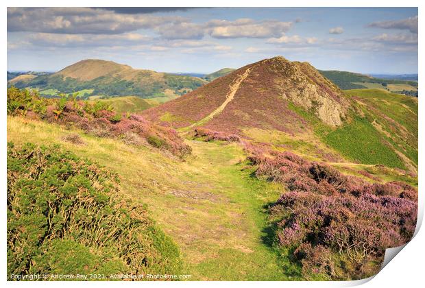 Towards the Devil's Mount (Long Mynd) Print by Andrew Ray