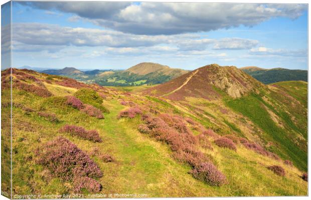 Long Mynd Canvas Print by Andrew Ray