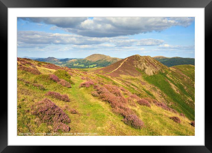 Long Mynd Framed Mounted Print by Andrew Ray