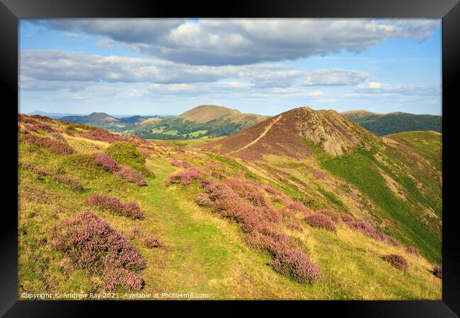 Long Mynd Framed Print by Andrew Ray