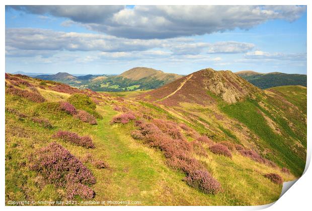 Long Mynd Print by Andrew Ray