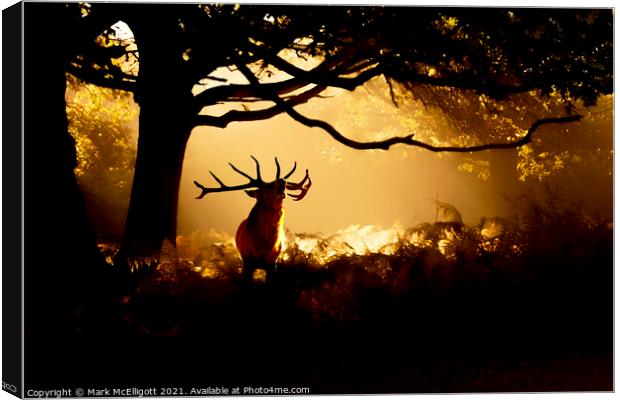 Red Deer Stag The Call Of The Wild Canvas Print by Mark McElligott
