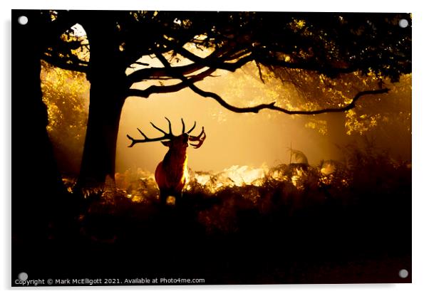 Red Deer Stag The Call Of The Wild Acrylic by Mark McElligott