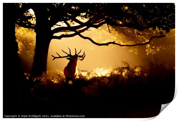 Red Deer Stag The Call Of The Wild Print by Mark McElligott