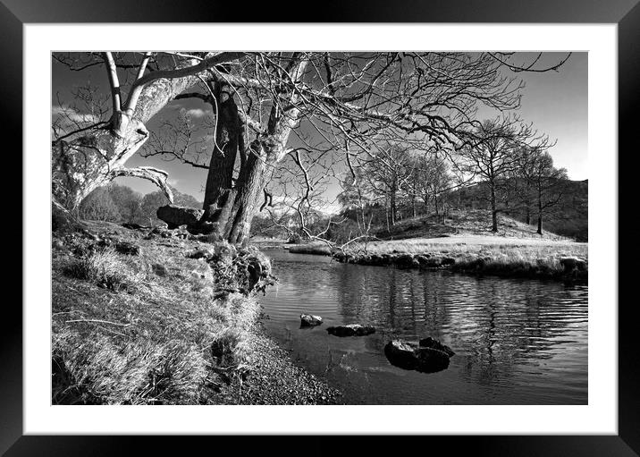 Banks of the River Brathay   Framed Mounted Print by Darren Galpin