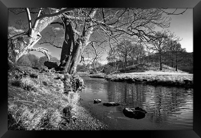 Banks of the River Brathay   Framed Print by Darren Galpin