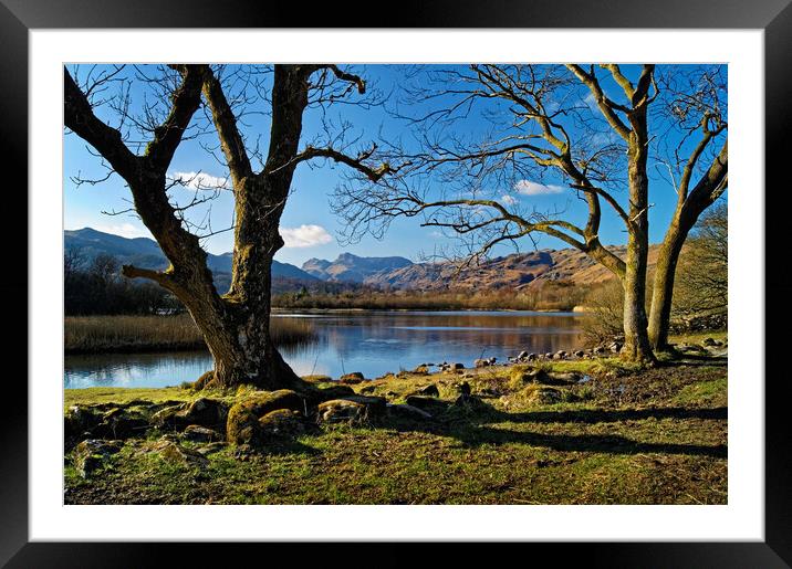 Elter Water Lake District Cumbria  Framed Mounted Print by Darren Galpin