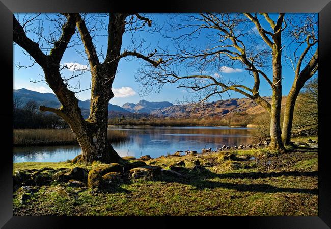 Elter Water Lake District Cumbria  Framed Print by Darren Galpin