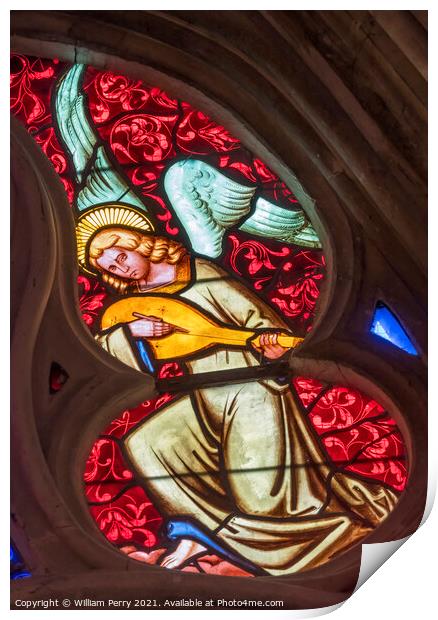 Colorful Angel Lute Stained Glass Cathedral Church Bayeux Norman Print by William Perry