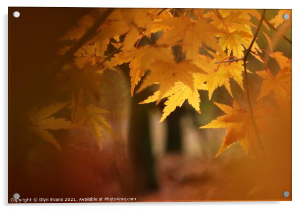 Autumn Colours Acrylic by Glyn Evans