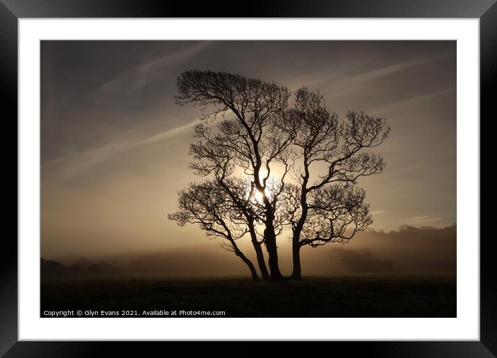 Morning mist. Framed Mounted Print by Glyn Evans