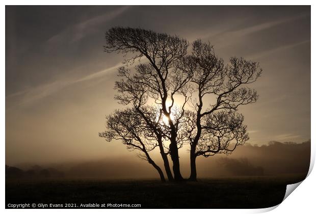 Morning mist. Print by Glyn Evans
