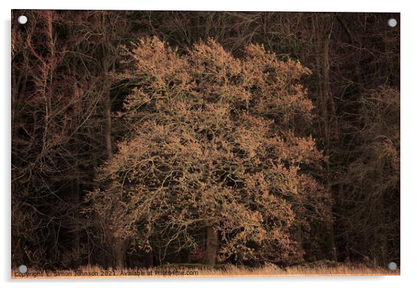  Sunit Oak  tree Acrylic by Simon Johnson
