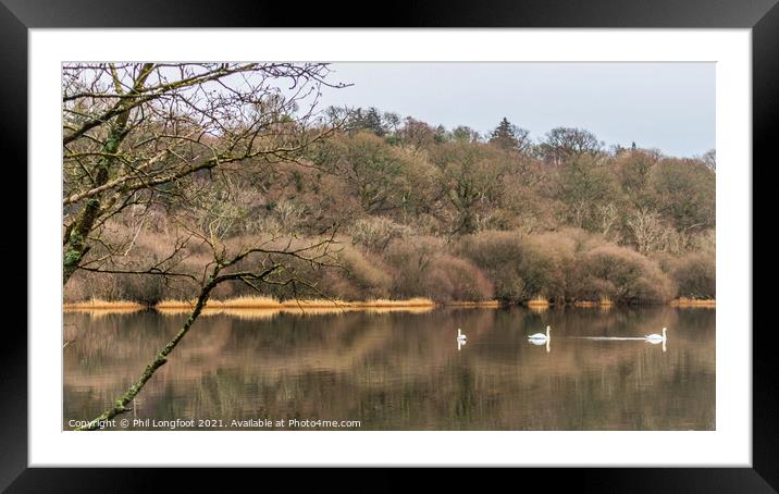 Lake Bassenthwaite on a Winters day Framed Mounted Print by Phil Longfoot