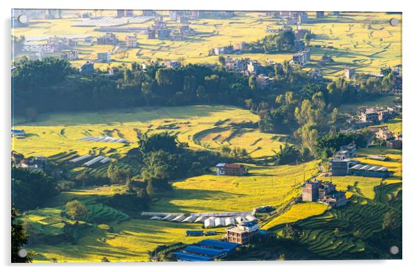 beautiful landscape view of paddy farmland Acrylic by Ambir Tolang
