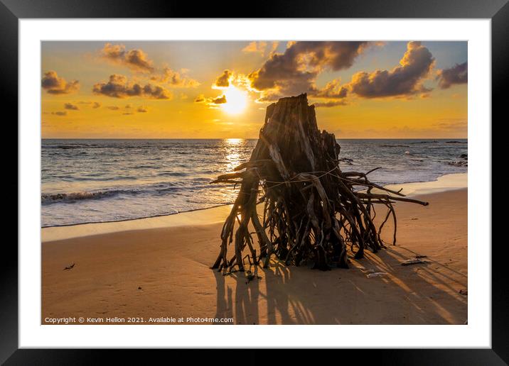 Eroded tree stump on beach at susnset, Framed Mounted Print by Kevin Hellon