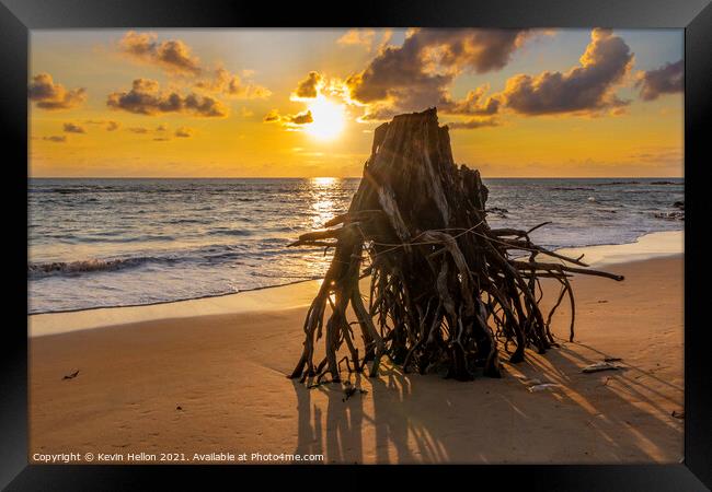 Eroded tree stump on beach at susnset, Framed Print by Kevin Hellon