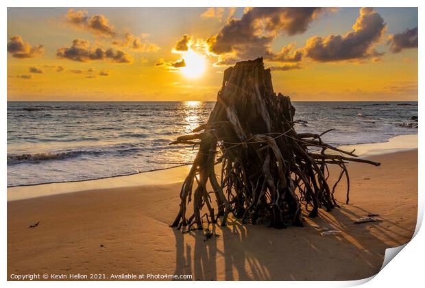 Eroded tree stump on beach at susnset, Print by Kevin Hellon