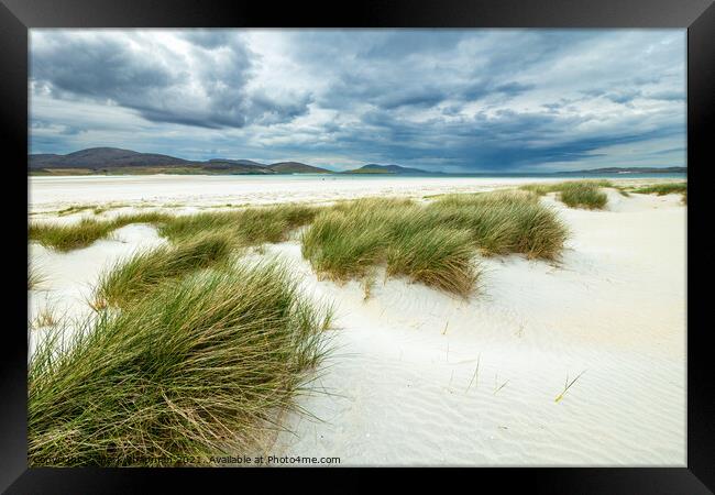 Dune grass, Luskentyre beach, Isle of Harris Framed Print by Photimageon UK