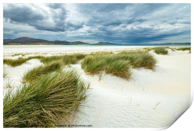 Dune grass, Luskentyre beach, Isle of Harris Print by Photimageon UK