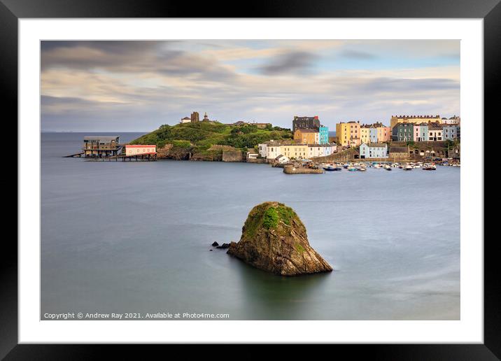 Tenby Harbour view  Framed Mounted Print by Andrew Ray