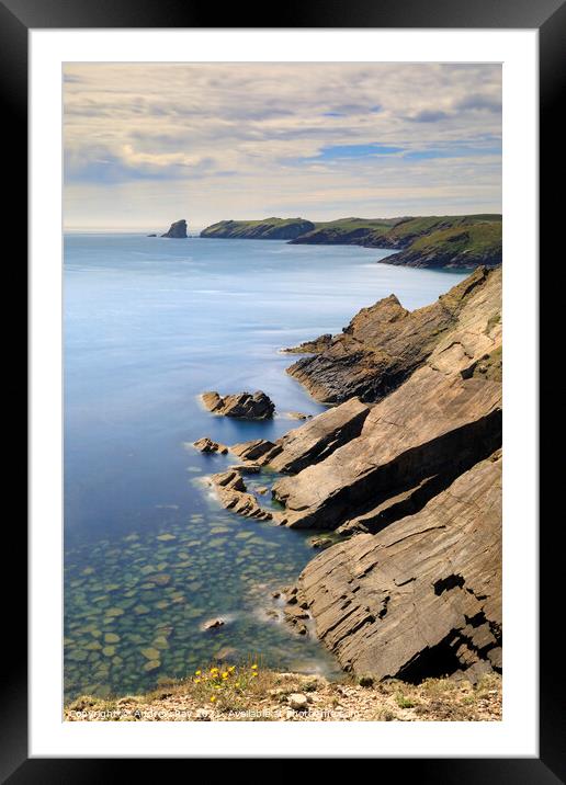 Towards Skomer Framed Mounted Print by Andrew Ray