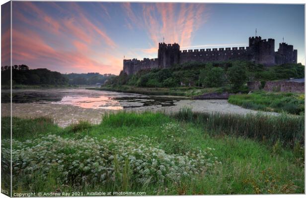 Summer morning at Pembroke Castle  Canvas Print by Andrew Ray