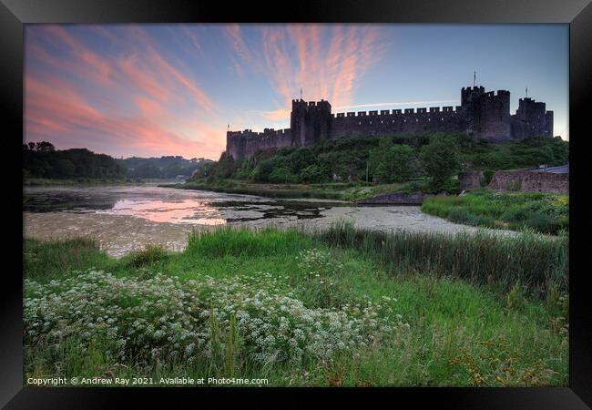 Summer morning at Pembroke Castle  Framed Print by Andrew Ray