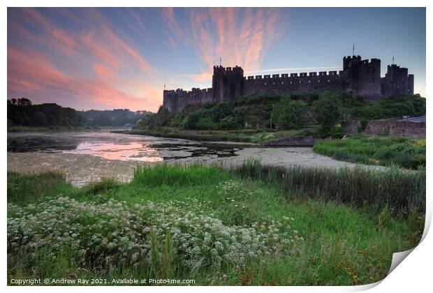 Summer morning at Pembroke Castle  Print by Andrew Ray